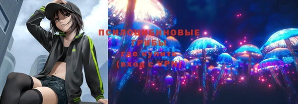 дживик Нязепетровск