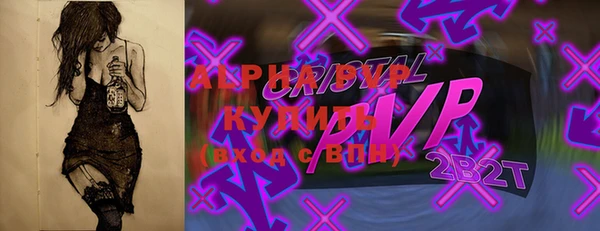 дживик Няндома