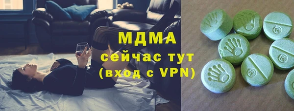 дживик Няндома