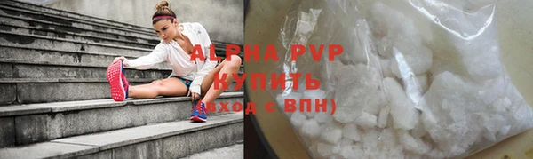 дживик Няндома