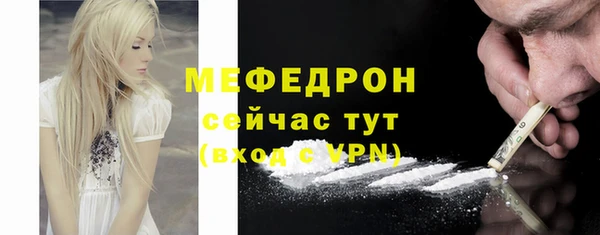 дживик Няндома