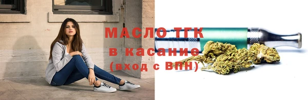 дживик Няндома