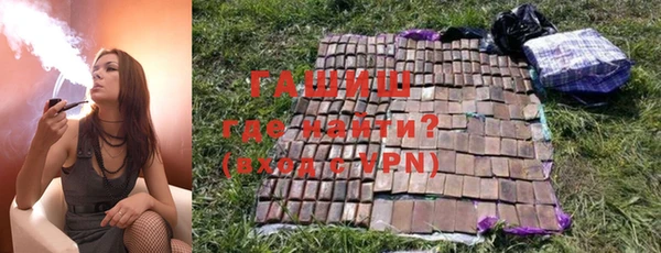 дживик Няндома