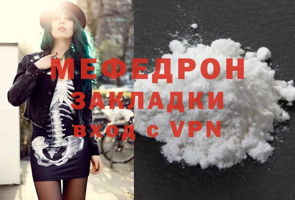 дживик Няндома