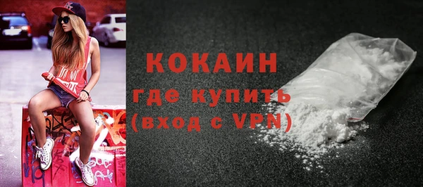 дживик Няндома