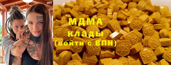 дживик Няндома