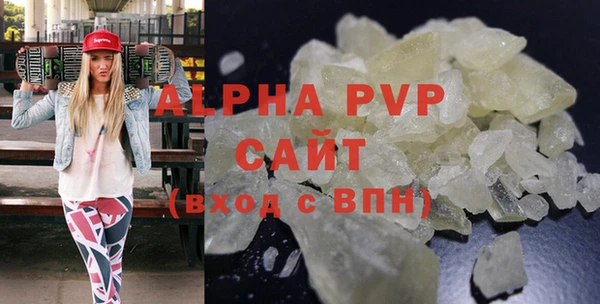 дживик Няндома