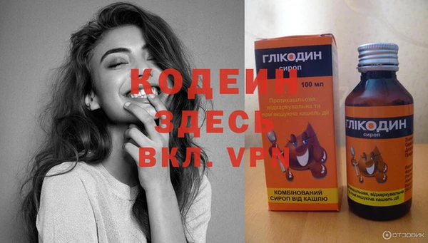 дживик Няндома