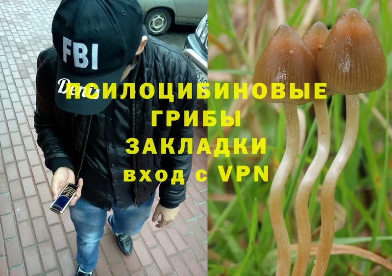 Псилоцибиновые грибы Magic Shrooms  Ялуторовск 