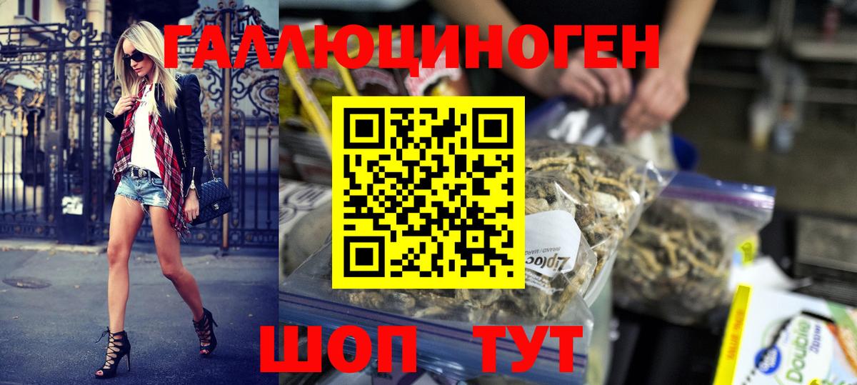 Псилоцибиновые грибы Cubensis Ялуторовск